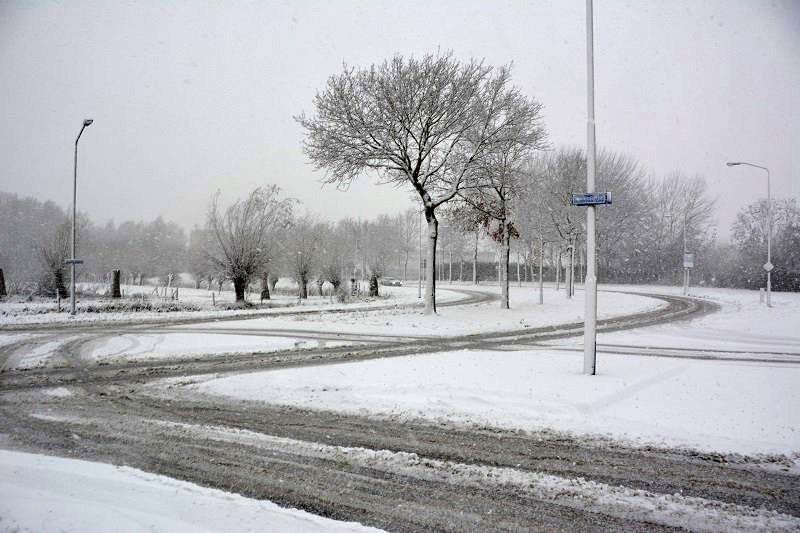 Besneeuwde Emerparklaan in de Haagse Beemden