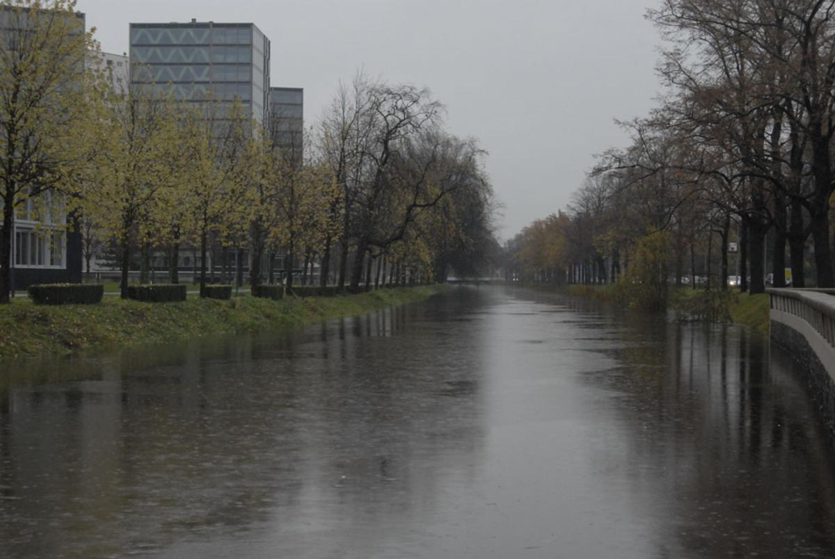 Het water bij de Chassésingel. foto Wijnand Nijs