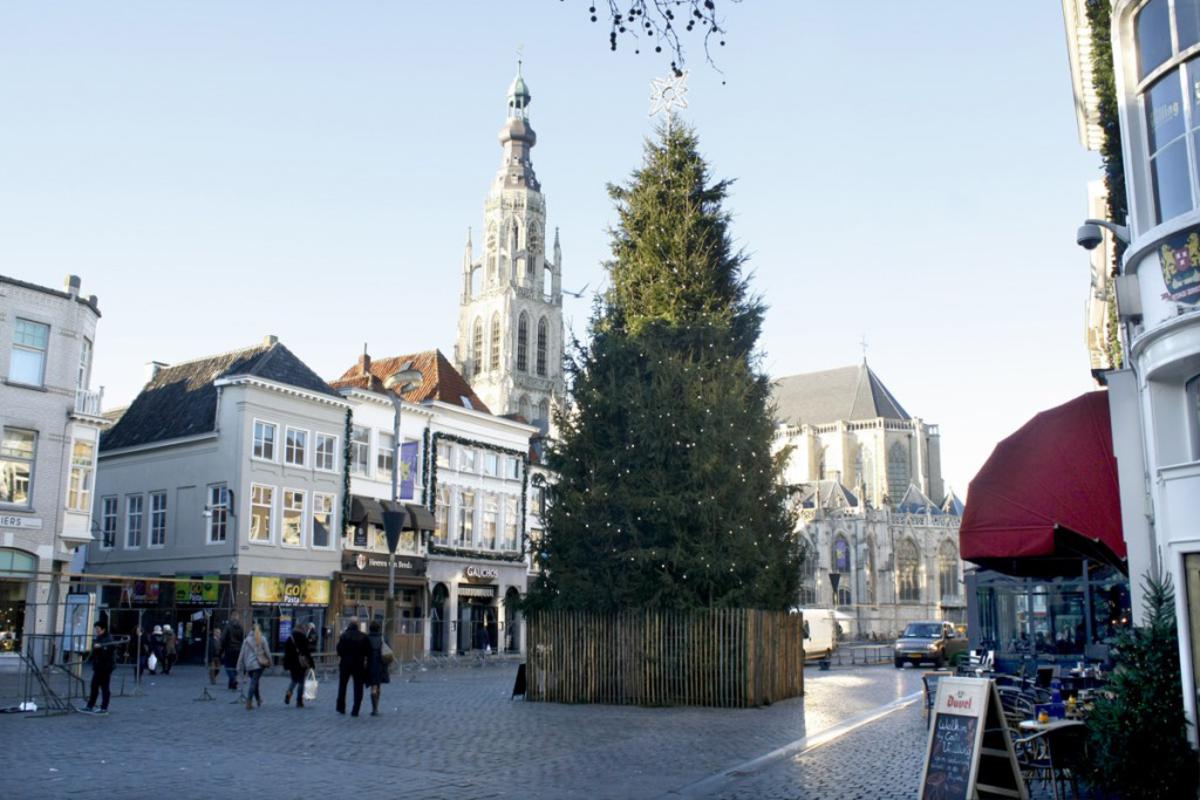 De Kerstboom op de Grote Markt. foto Sjoerd Lips