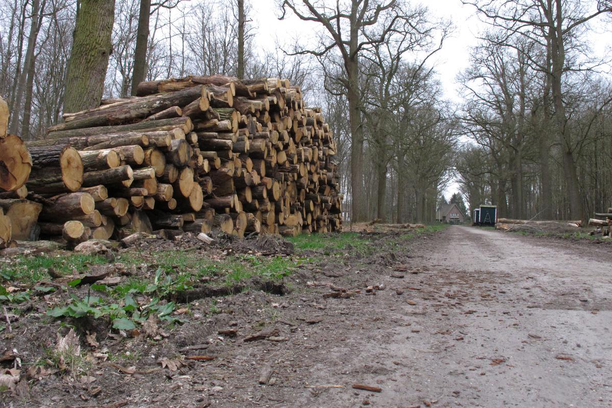 Liesbos Breda, maart 2014