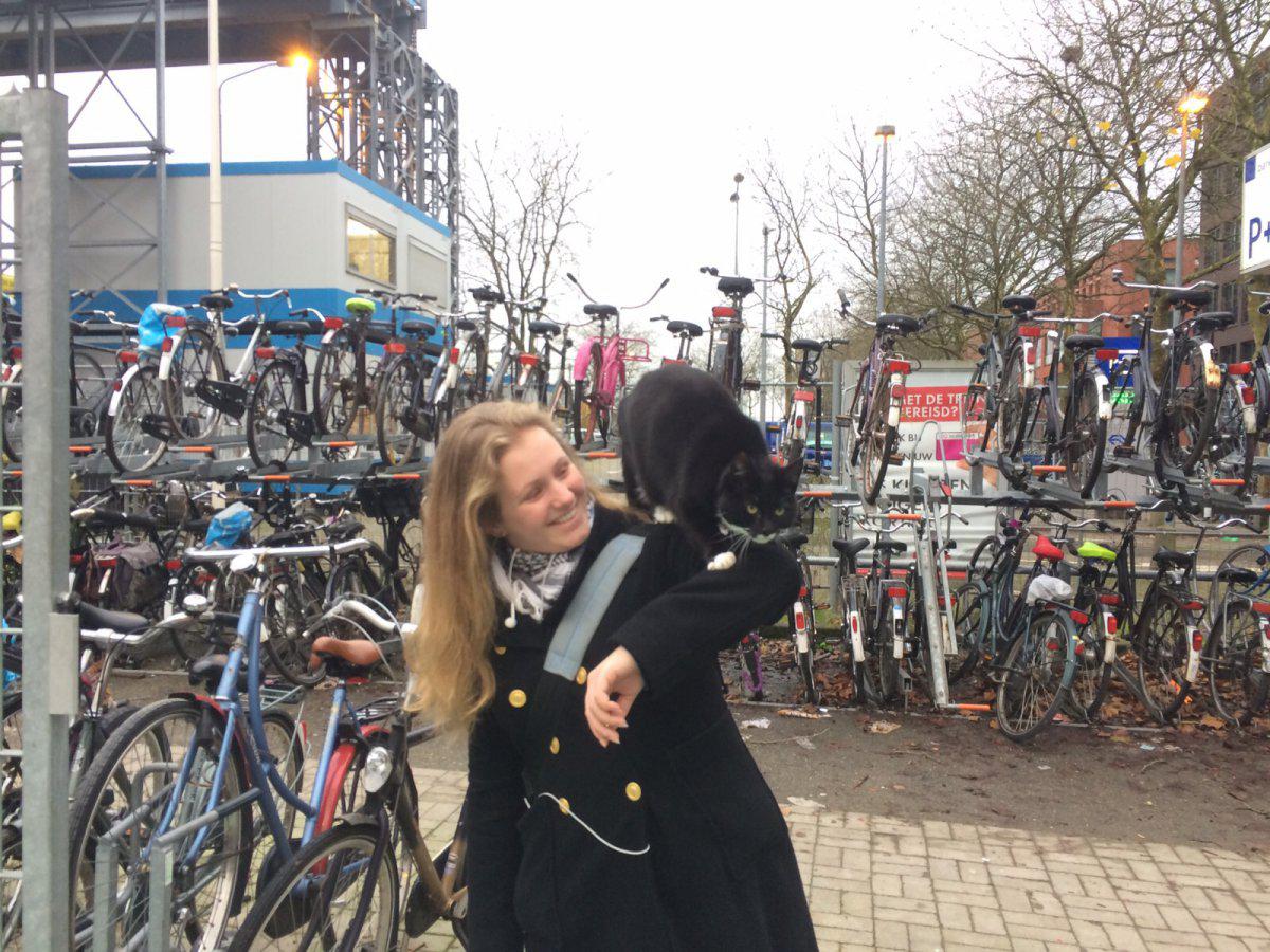 Lola de stationskat.