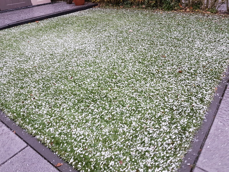 Korrelhagel