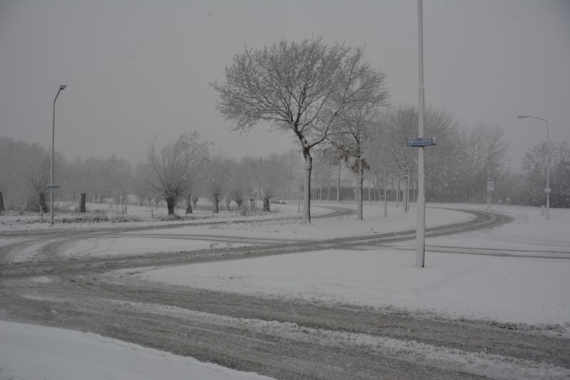 Besneeuwde Emerparklaan in de Haagse Beemden