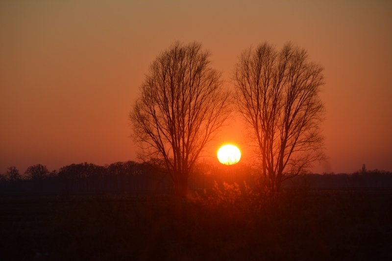 Zonsondergang Breda - Haagse Beemden