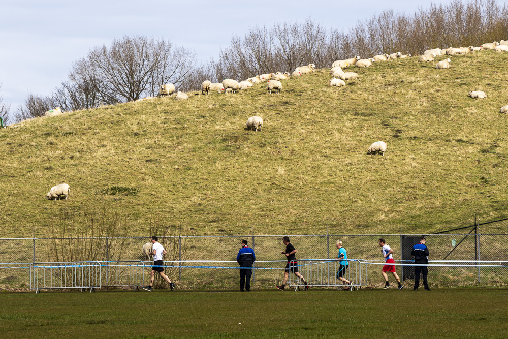 Op Breepark hebben woensdag 4 april duizenden ambtenaren meegedaan aan het NK Veldlopen voor ambtenaren.