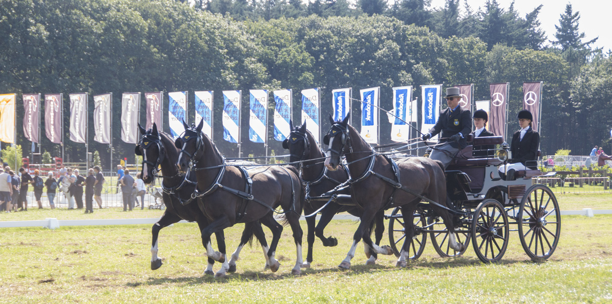 De eerste dag van Outdoor Brabant 2016 had het weer mee. Stralende zon.
