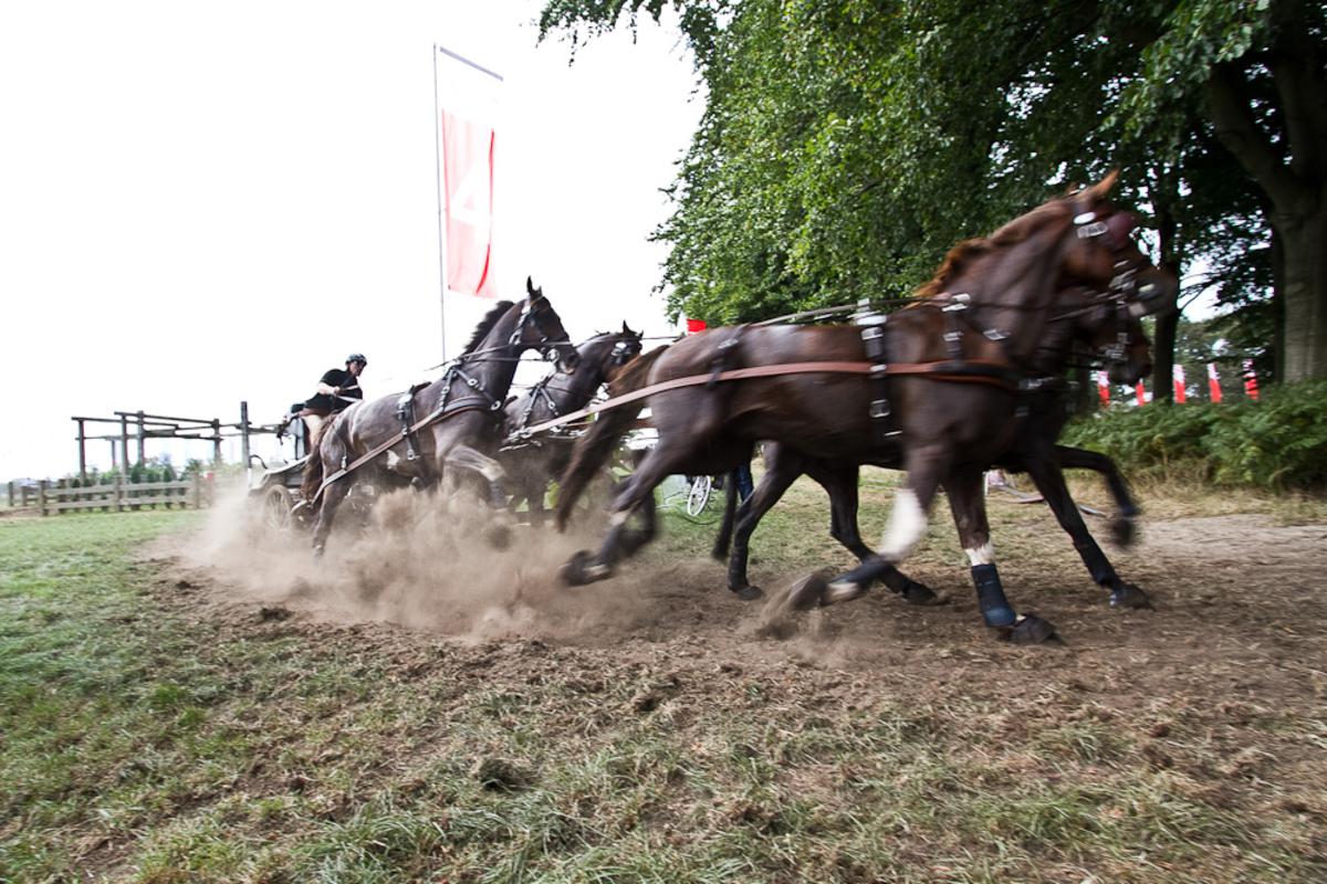 Vermaak voor jong en oud tijdens Outdoor Brabant 2013. foto Jorgen Janssens