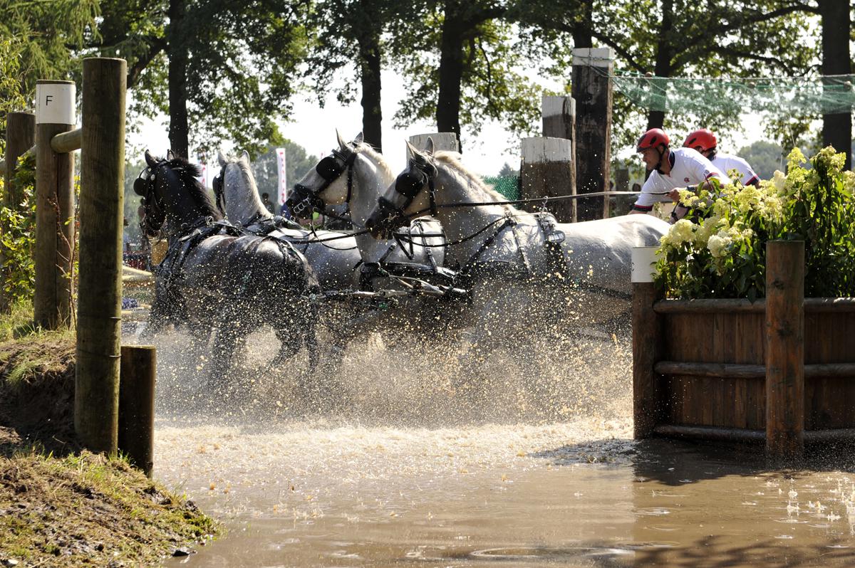 Outdoor Brabant in Breda. Met onder meer de vierspanwedstrijd. foto Janet Olde Wolbers