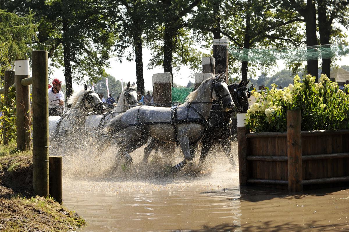 Outdoor Brabant in Breda. Met onder meer de vierspanwedstrijd. foto Janet Olde Wolbers