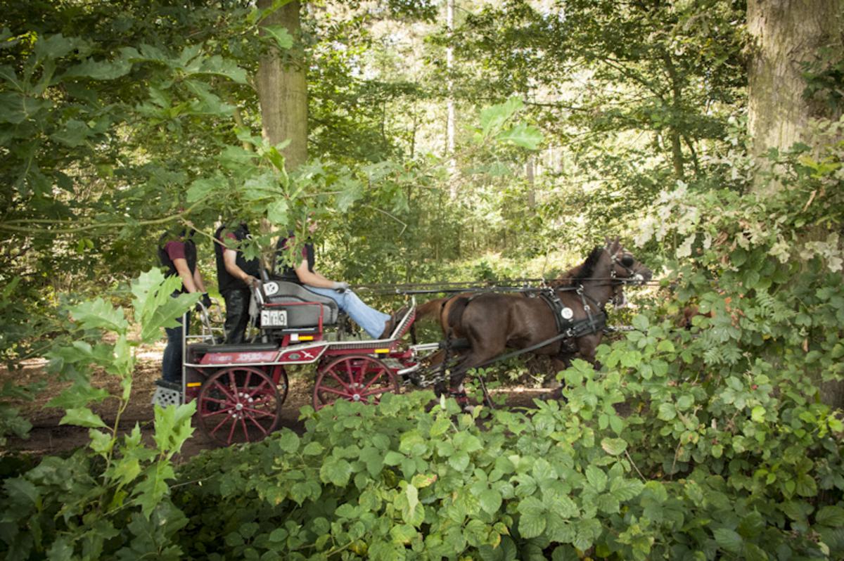 De zaterdag van Outdoor Brabant. foto Guido van der Kroef