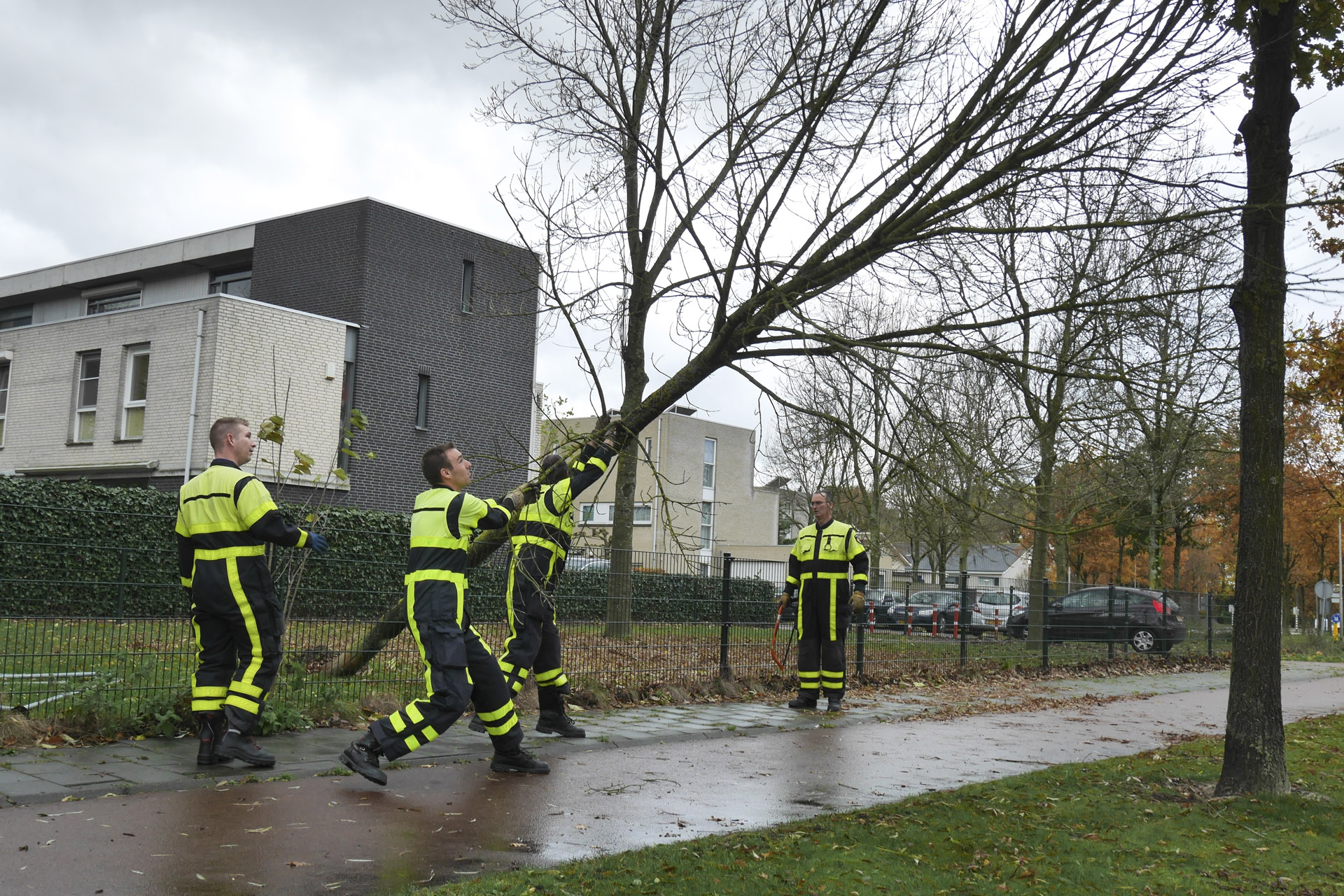 Omgewaaide bomen op verschillende plaatsen in Breda door de flinke najaarsstorm op zondag 20 november.