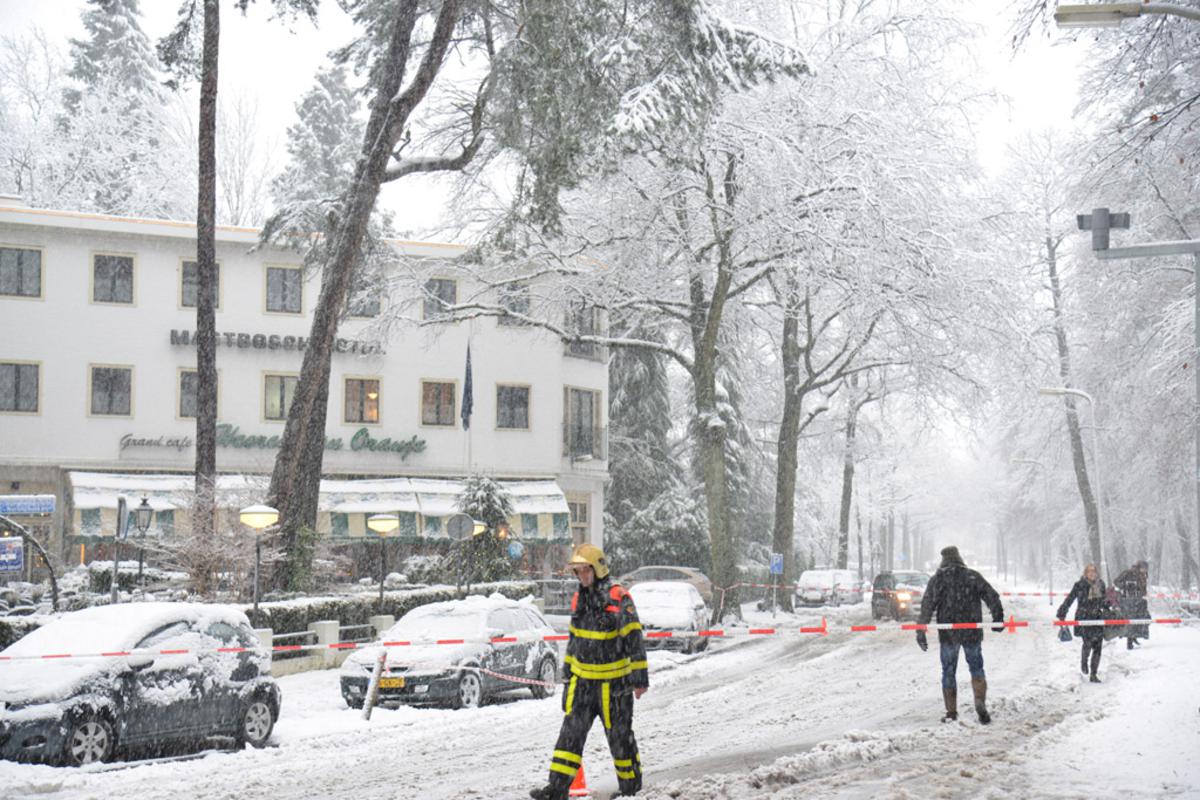 De dennen voor de deur van Hotel Mastbosch dreigen het te begeven. De brandweer heeft de weg afgesloten.