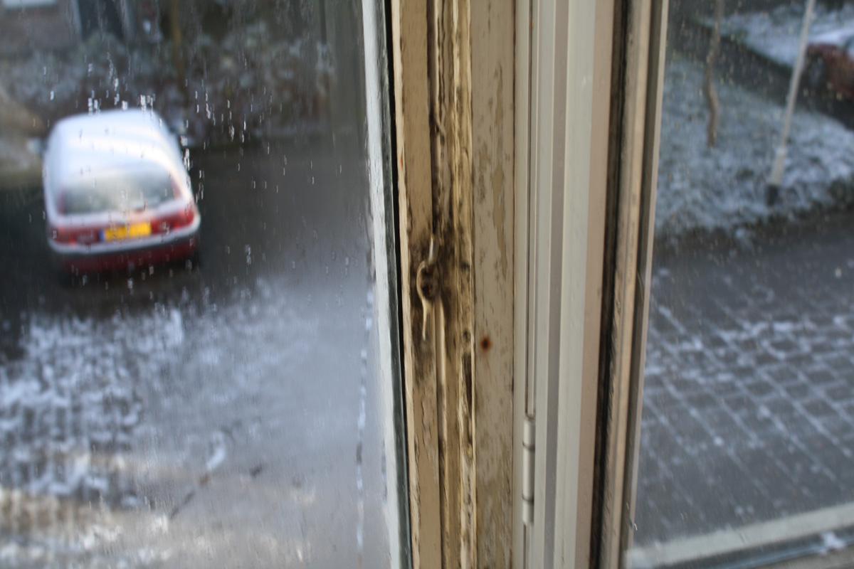 Verschillende huurwoningen in de Heuvel kampen met ernstige vochtproblemen. foto Pepijn Nagtzaam