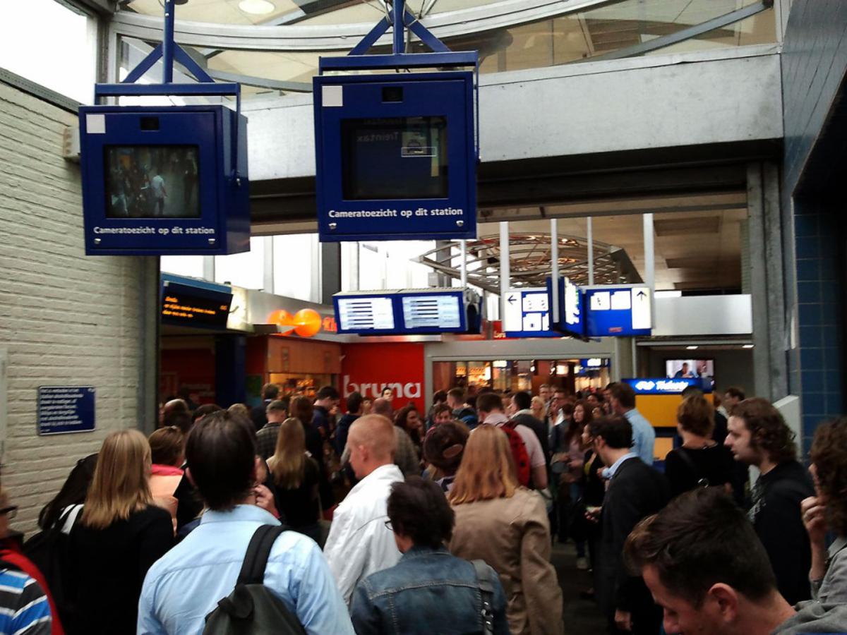 foto Nicole van Gool