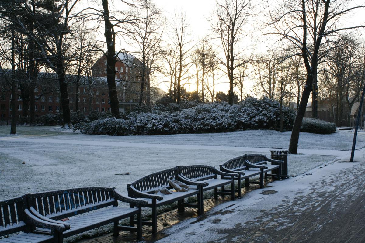 Op 6 december viel er behoorlijk wat sneeuw in Breda. Een korte fotoserie uit het Park Valkenberg. Foto Pepijn Nagtzaam