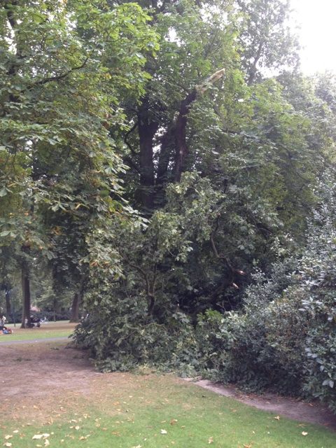foto Frank Toeset