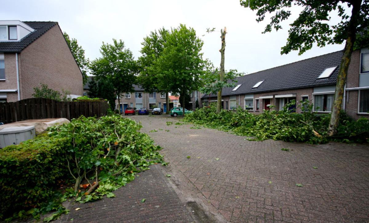 foto Erik Eggens