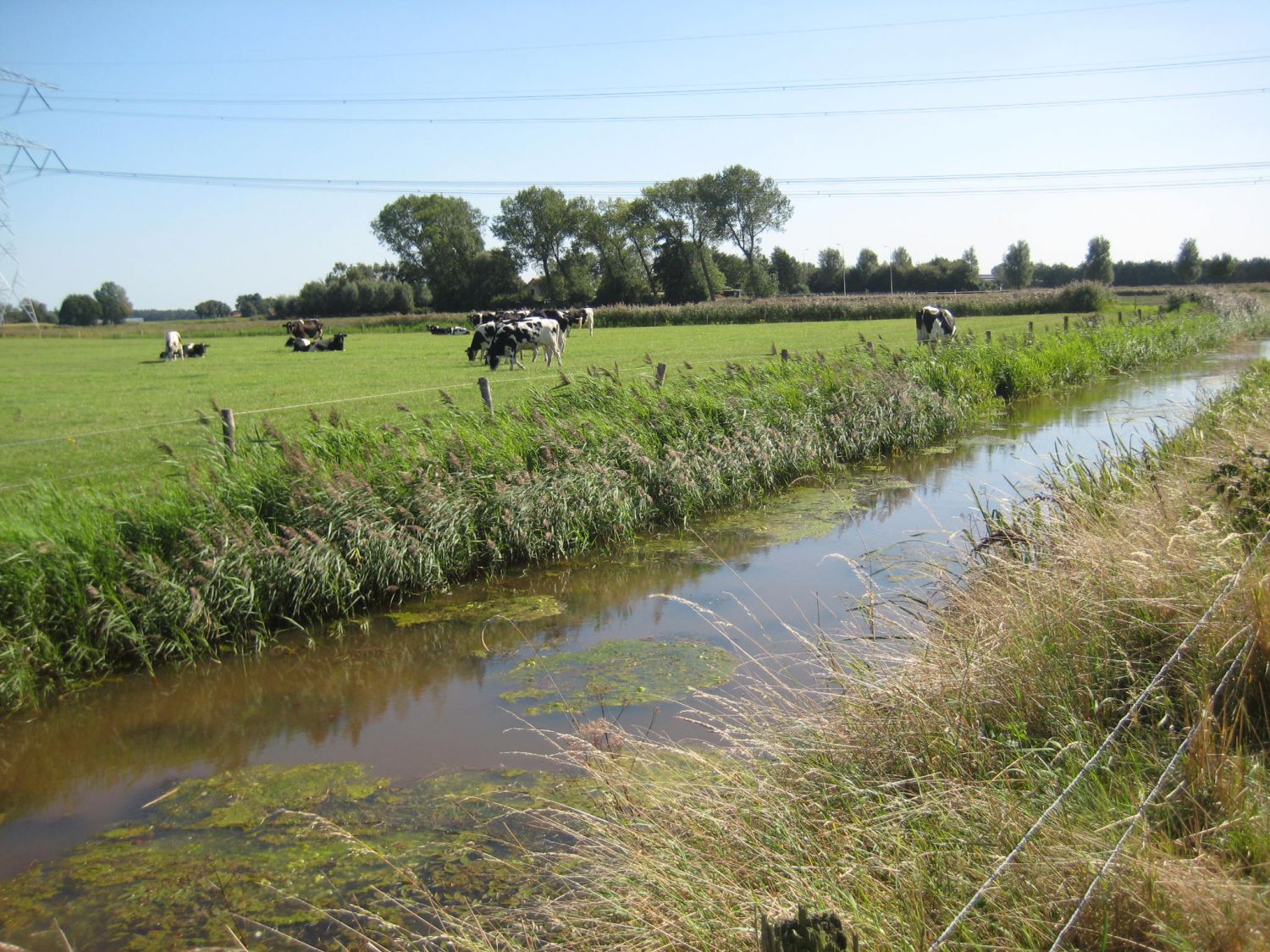 Waterschap Brabantse Delta In Top-3 Beste Overheidsorganisatie Van Het ...