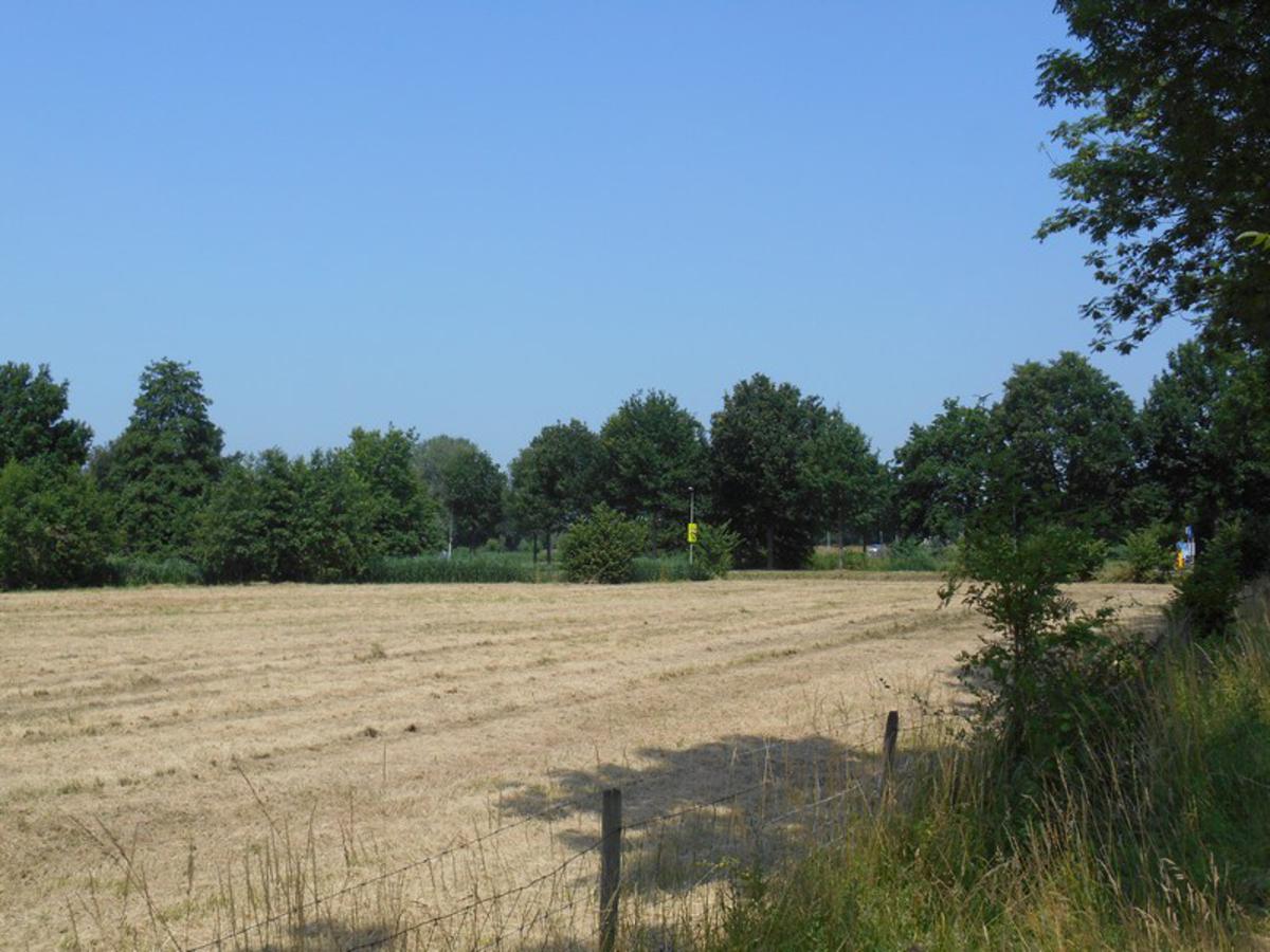 Van gemaaid gras hooi drogen.
