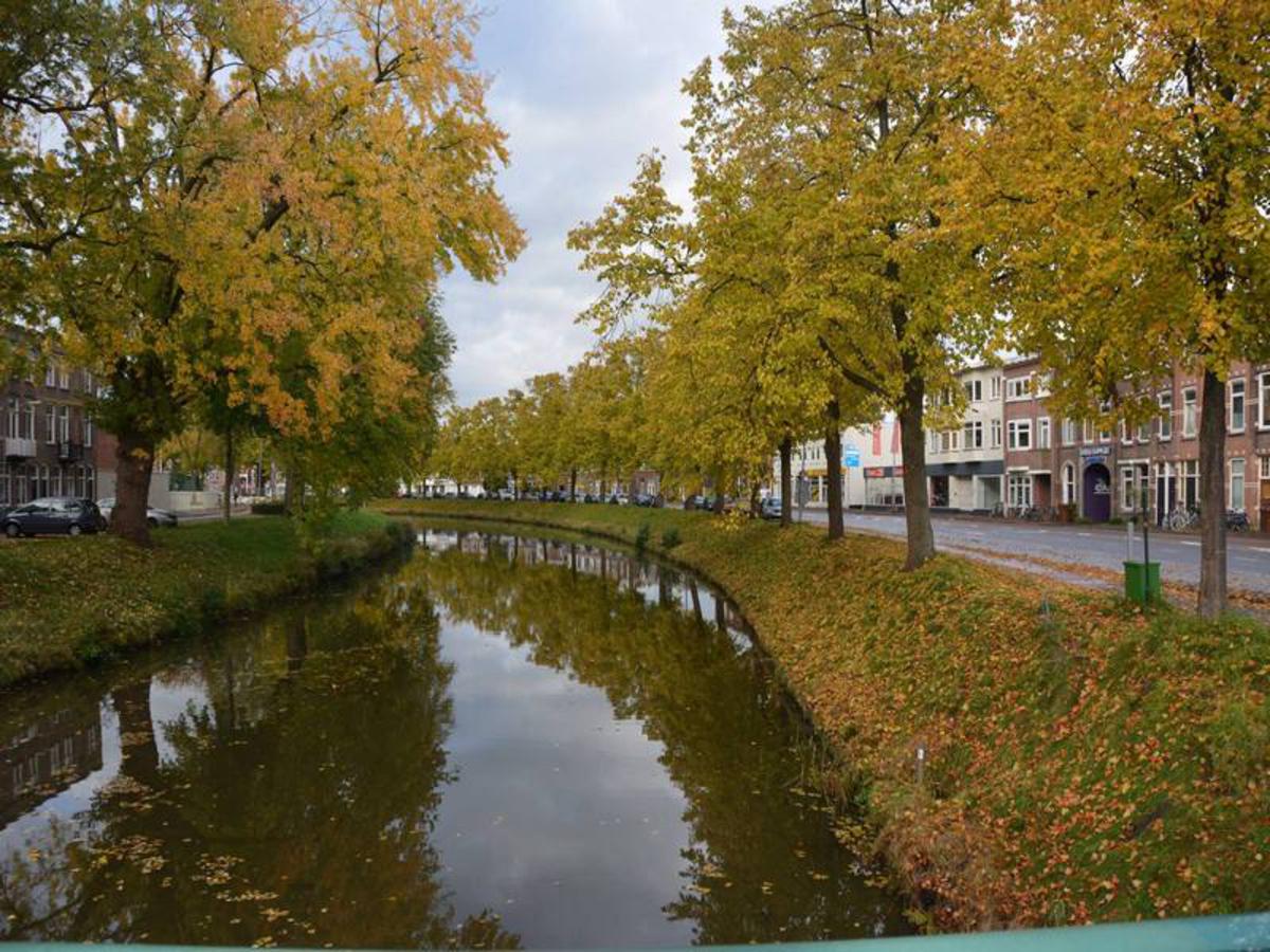 Fraaie herfstkleuren langs de Bredase singels.