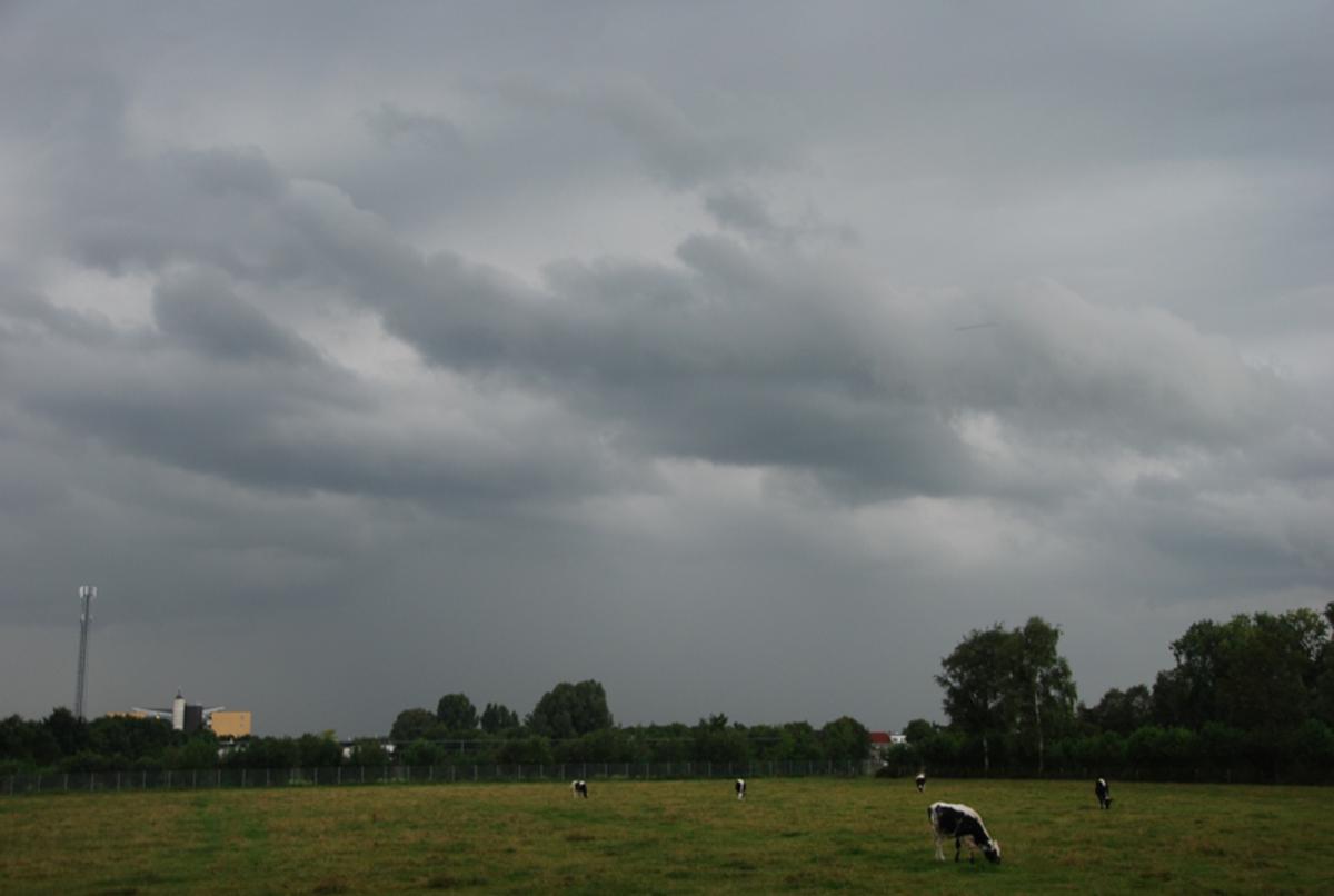Een opkomende regenbui. Foto: Nico Koevoets.