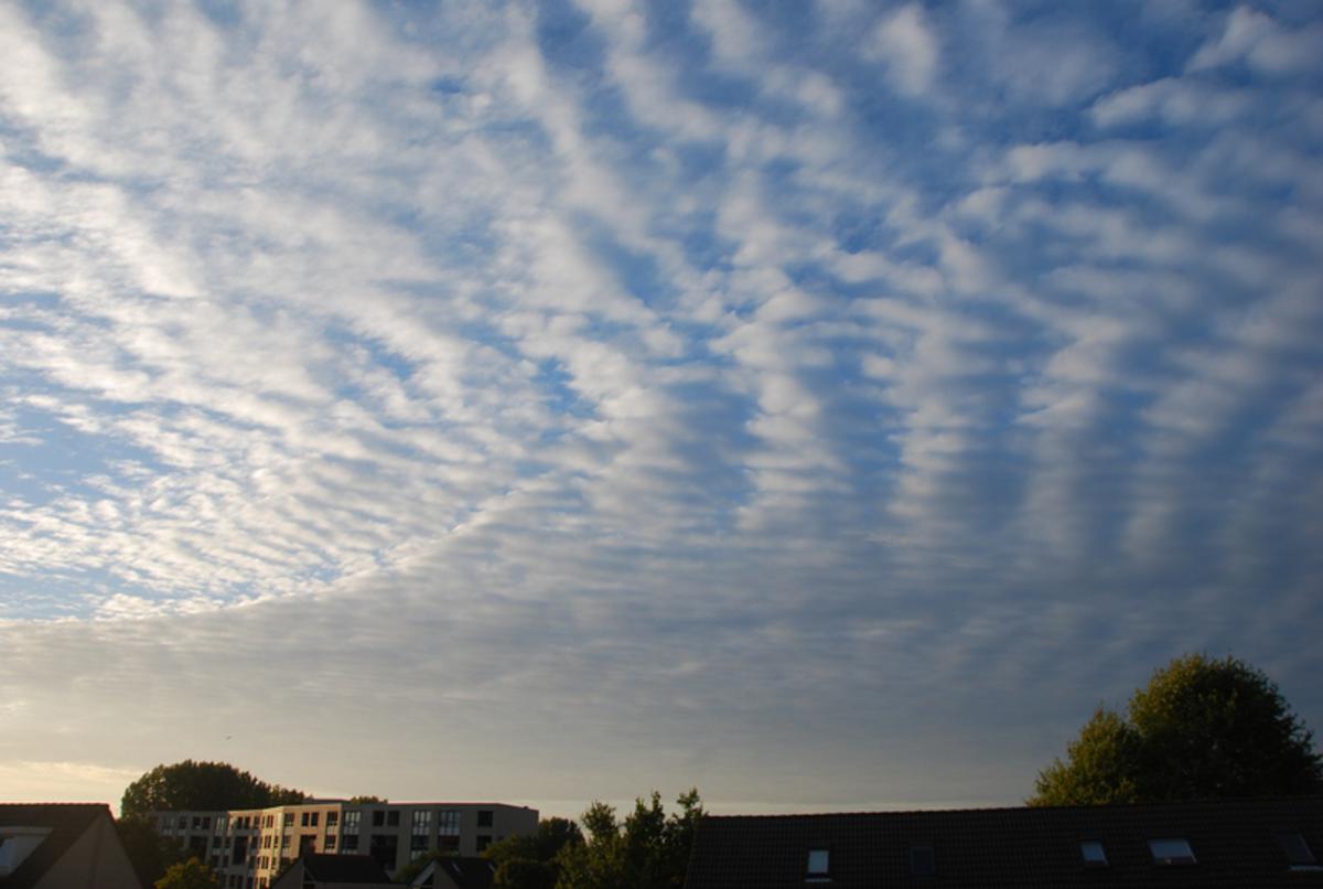 Rustige schapenwolken