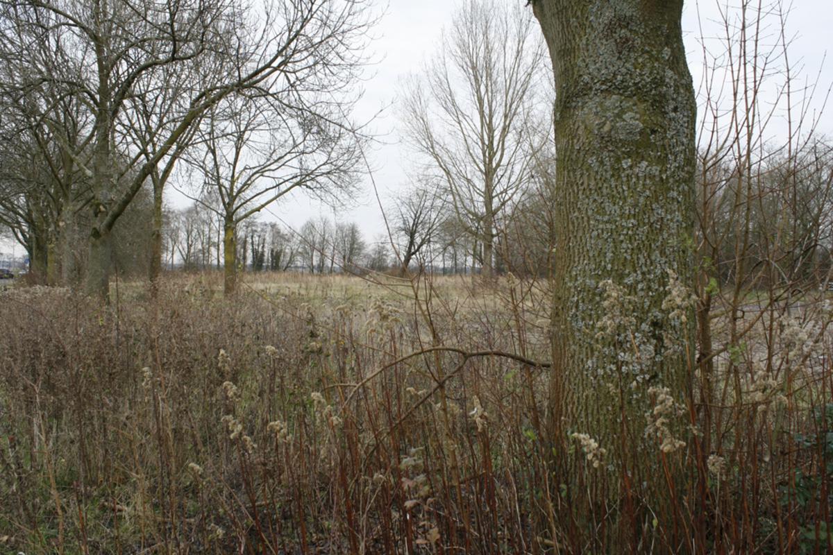 Het Wisselslagterrein waar nu plannen zijn voor dertig woningen. foto Wijnand Nijs