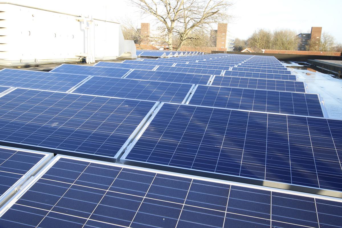 Op het dak van basisschool Noorderlicht liggen sinds begin 2016 160 zonnepanelen.