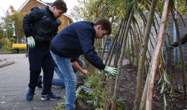 Leerlingen uit groep 8 gingen onder leiding van Werkse! aan het werk.