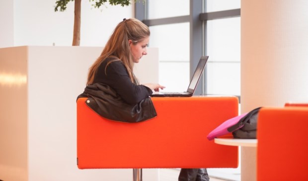 Vanaf januari 2018 kunnen studenten een online cursus van hun eigen universiteit of van een van de partners volgen.