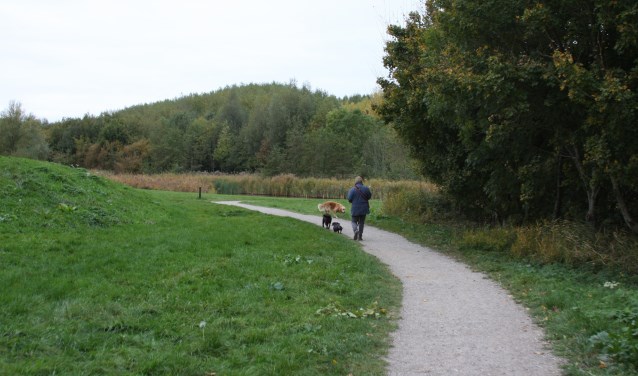 Stuur uw foto van het Abtswoudse Bos op en win!