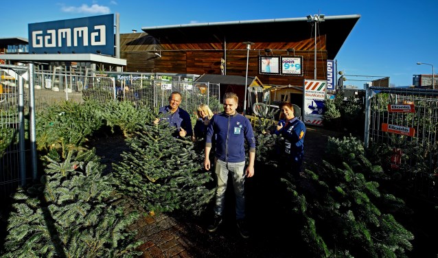 Het team van GAMMA Delft verkoopt weer de prachtigste Nordmann kerstbomen (Foto: Koos Bommelé)