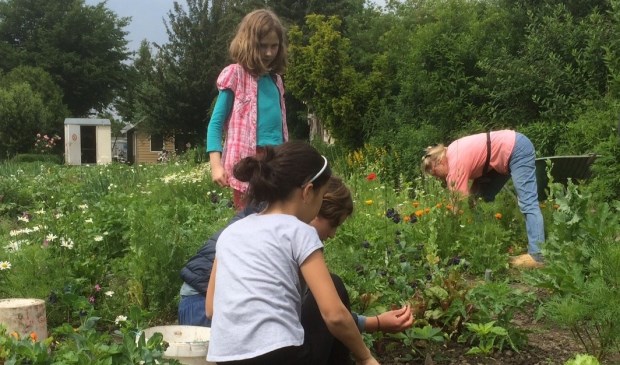 Tuinieren in kindertuin de Boterbloem in Tanthof.
