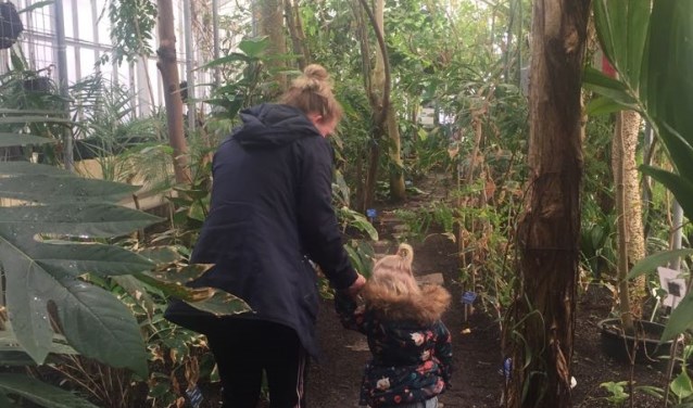 Een leerzaam uitstapje naar de Botanische Tuin...