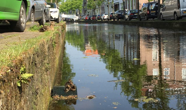Er werd direct gretig gebruik gemaakt van het hulpmiddel