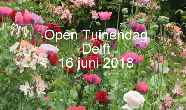 Bezoek verrassende tuinen met de Open Tuinendag op 16 juni