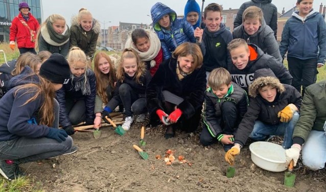 Tulpenbollen planten met kinderen van de Max Havelaar