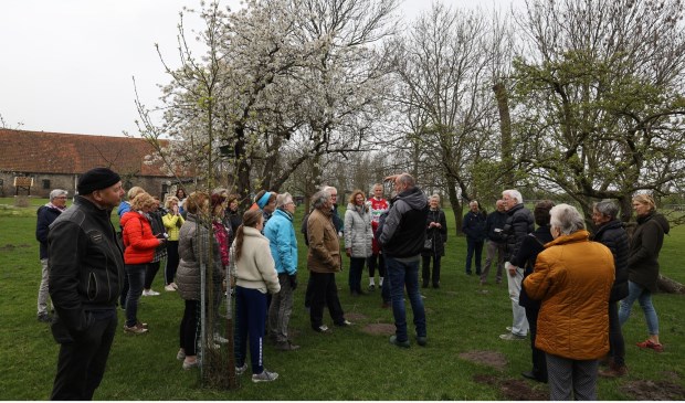 De bloesem stond prachtig in bloei