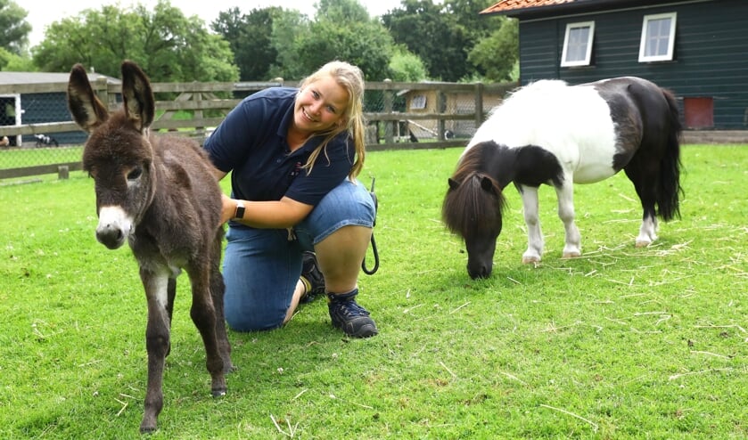 Beheerder Anje van de Kinderboerderij Tanthof met een pasgeboren ezeltje