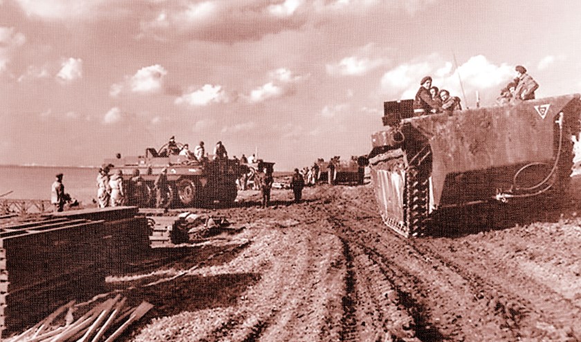Buffalo's bij de Braakman. Foto Canadian Army