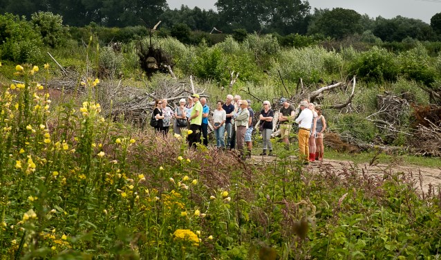 Een wandeling door de Afferdense en Deestse Waarden.