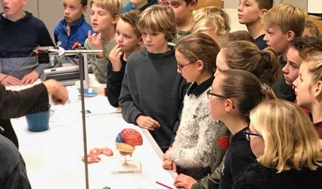Basisschoolleerlingen volgen plusprogramma op Pax havo/vwo Presentaties Pax-excellentieprogramma 2018/2019