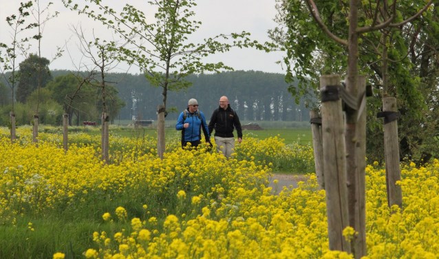 Wandelaars tijdens de Leeuwenmars 2019.