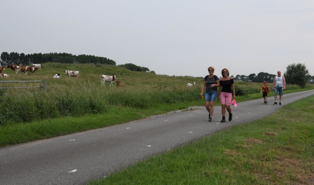 Avondvierdaagse 2018.