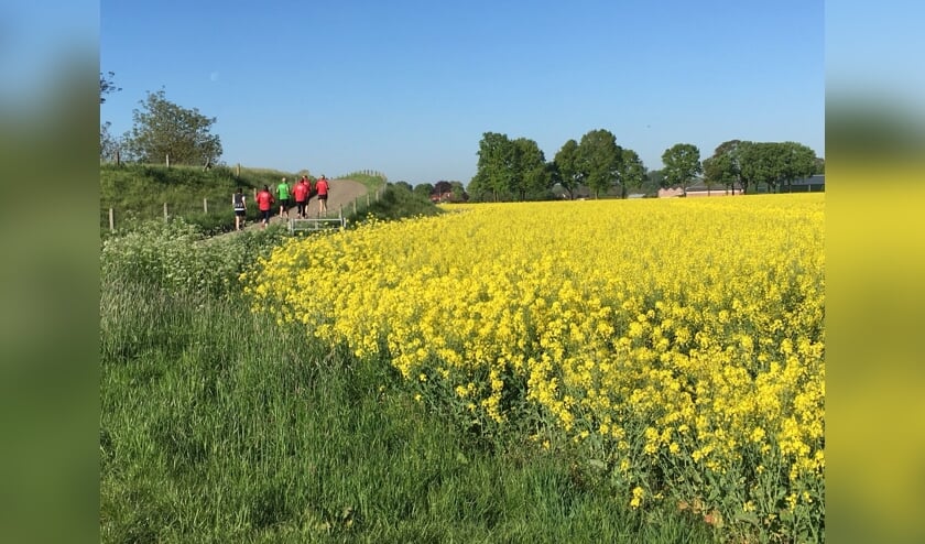 Deelnemers aan een eerdere editie van de Oeverwalloop.