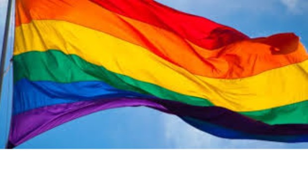 Regenboogvlag wordt gehesen in gemeente Geldrop-Mierlo | Fotonummer: 171357