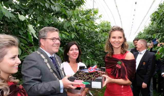 Kersenkoningin Michelle van Sinten overhandigt de eerste kist met Mierlose kersen aan burgemeester Link | Fotonummer: 4bf650