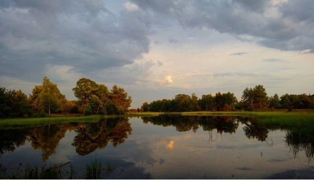Kiezelven Braakhuizensche heide | Fotonummer: e23732
