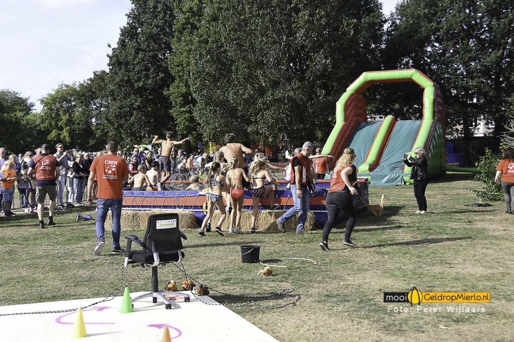 | Fotonummer: d1039f