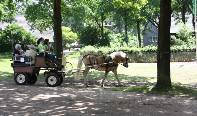 De Kempenlandrit voert door de bossen en heide om Sterksel